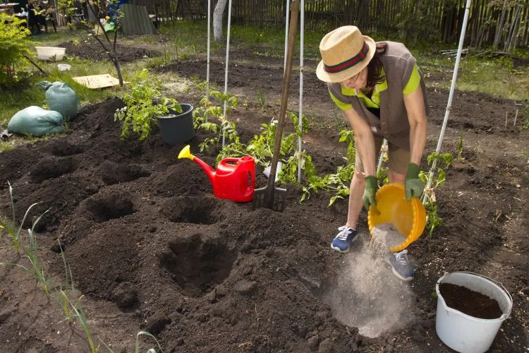 comment utiliser la cendre de bois dans le jardin comme engrais naturel