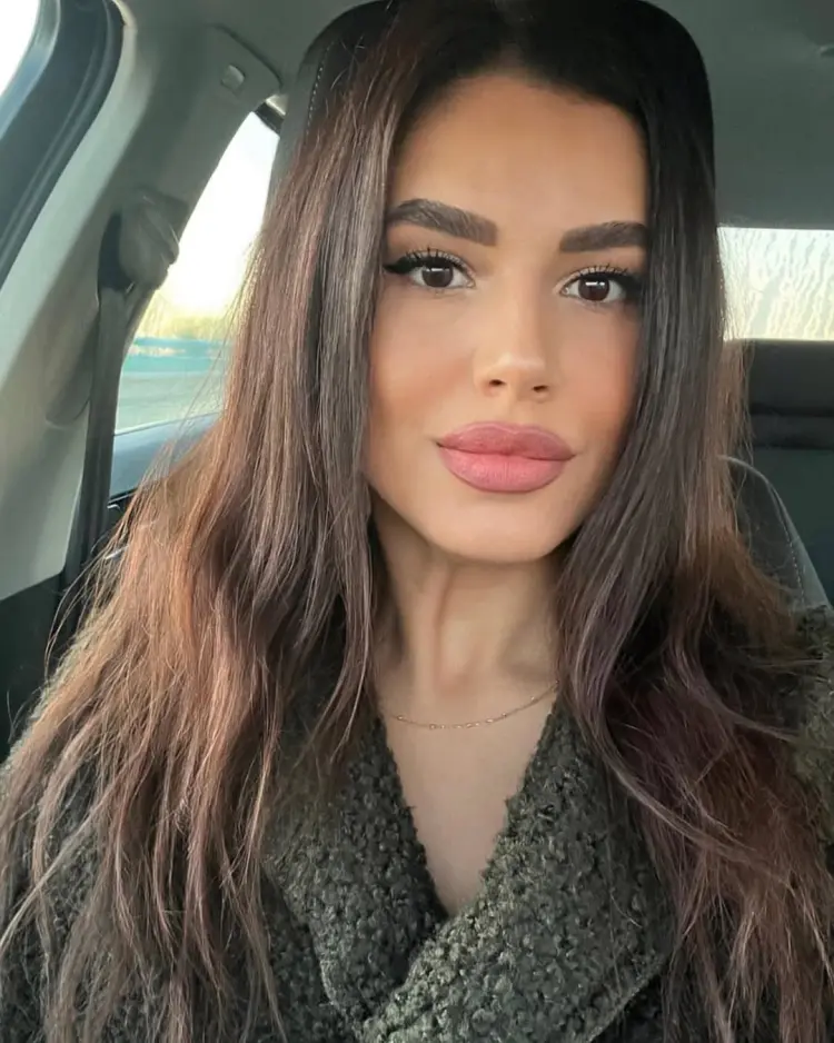 couleur de cheveux élégante brune 