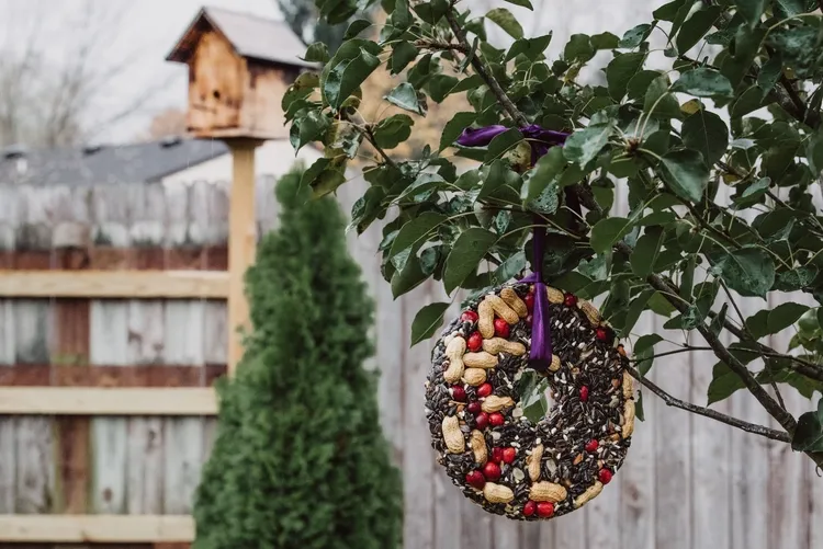 décoration comestible pour le jardin, faire une mangeoire pour oiseaux