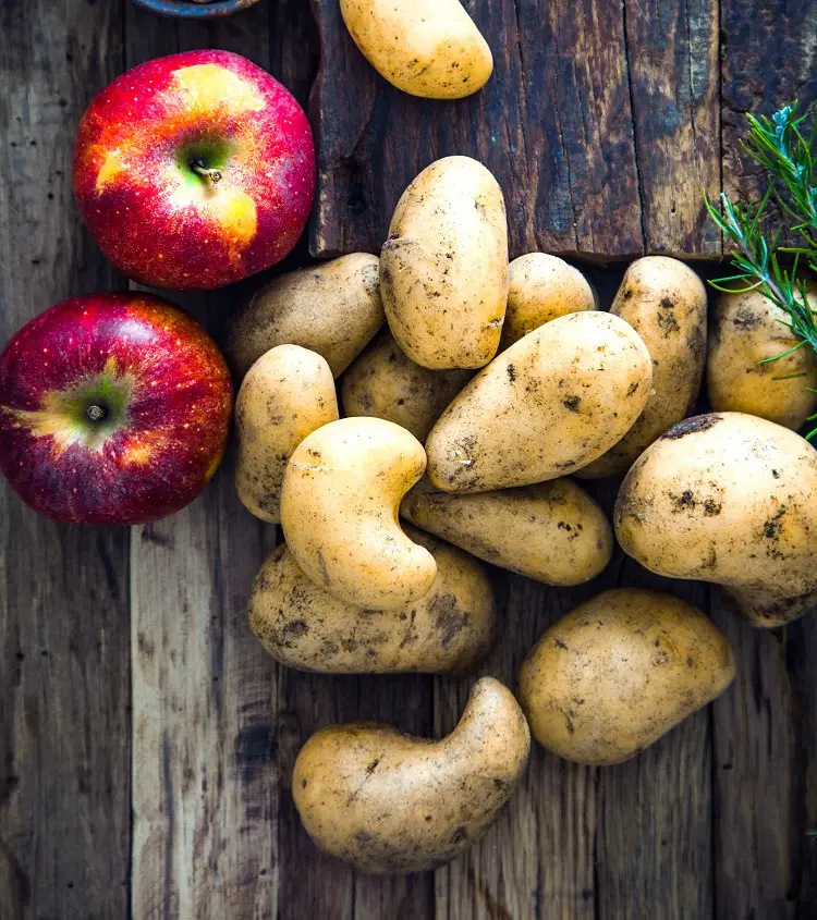 émpêcher les pommes de terre de germer