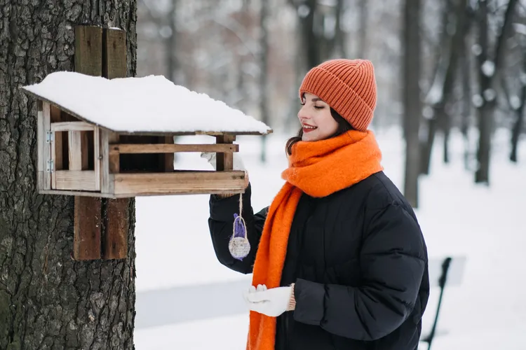 est il interdit de nourrir les oiseaux dans son jardin, installer une mangeoire