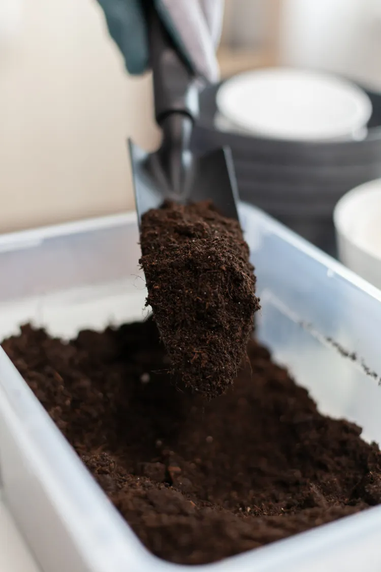 les bienfaits du marc de café dans le compost