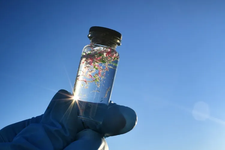 Les dangers des microplastiques pour la santé