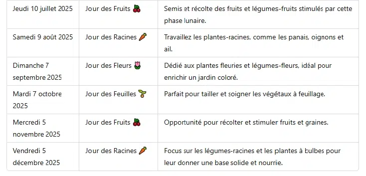 phases de la pleine lune pour savoir quels soins apporter à nos plantes