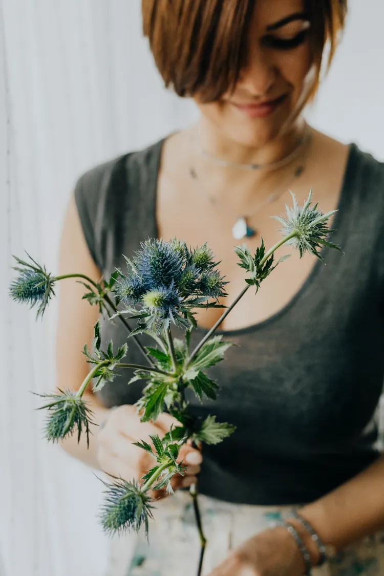 plantes d'intérieur top 3