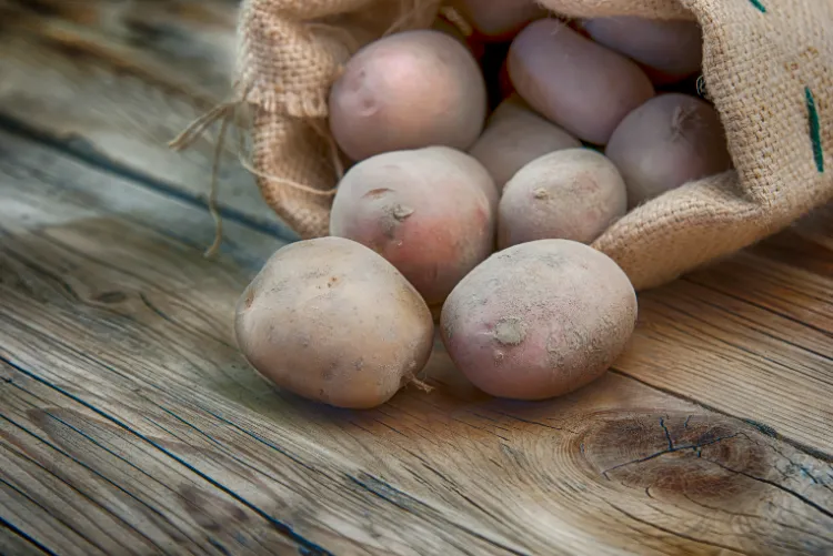 quel ingrédient secret utiliser pour éviter que les pommes de terre ne germent et ne pourrissent