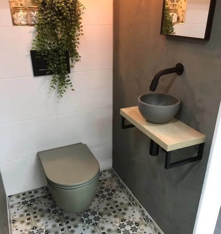 quelles plantes dans une petite toilette sans lumière