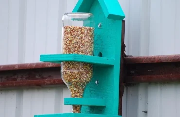 tuto en pas à pas pour fabriquer une mangeoire pour oiseaux à partir d'une bouteille à vin et bois