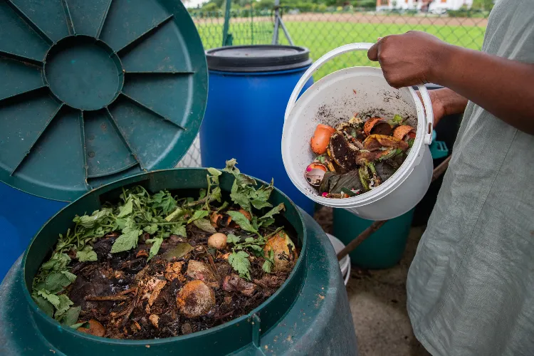 augmenter l’azote pour booster la décomposition des déchets organiques et augmenter la température du compost