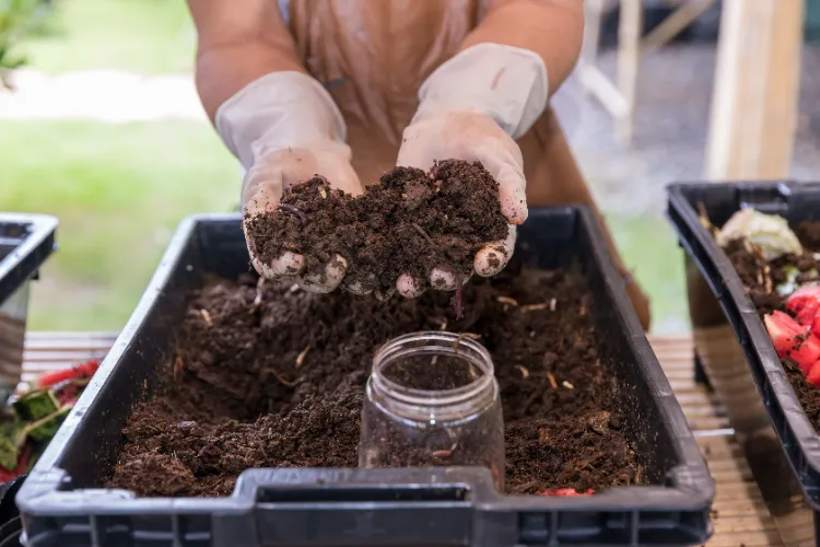 comment bien aérer le compost et maintenir la température optimale