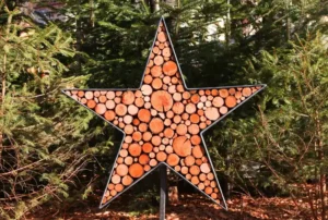 Étoile en rondelles de bois sur fond d'arbres