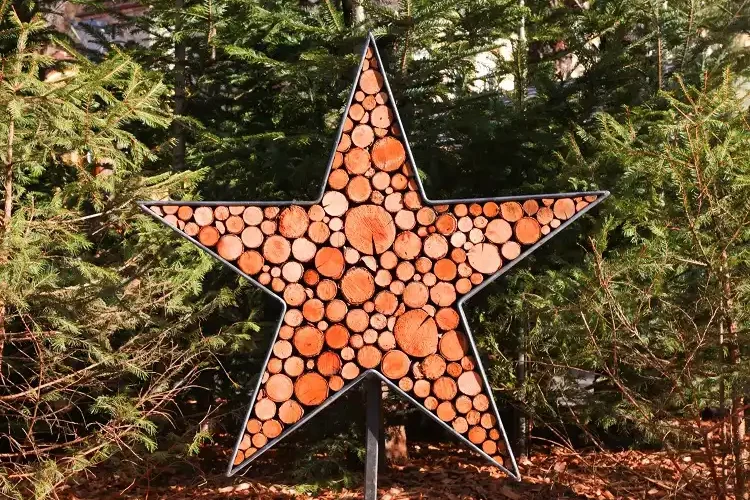 Étoile en rondelles de bois sur fond d'arbres