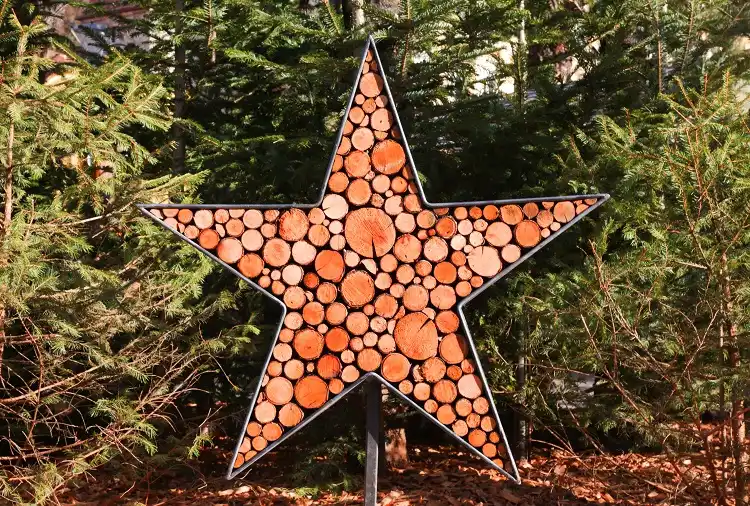 Étoile en rondelles de bois sur fond d'arbres
