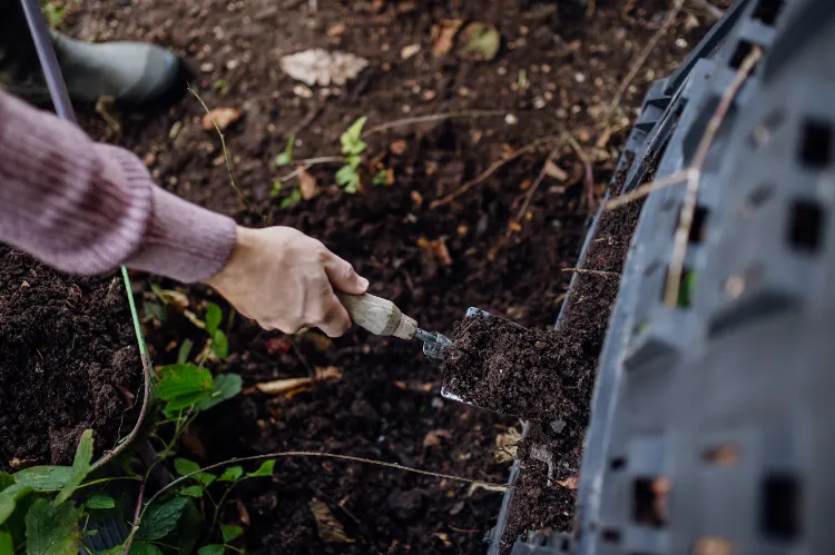 faut il et pourquoi chauffer le compost les secrets des jardiniers pour un jardin en pleine santé