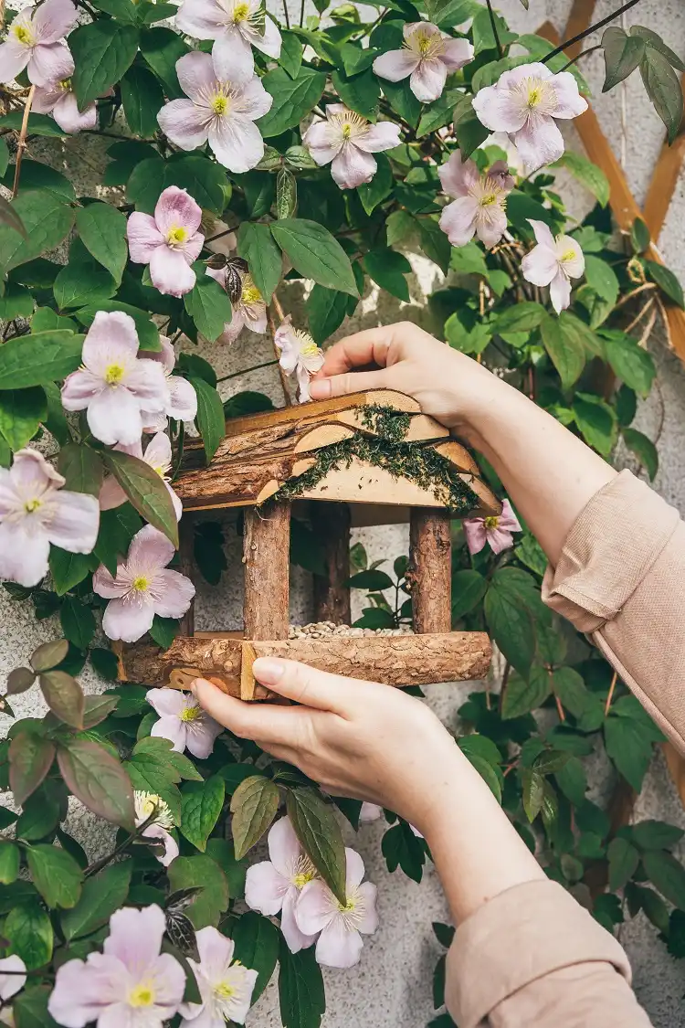 mangeoire à oiseaux en bois près d'un arbuste grimpant avec des fleurs au printemps