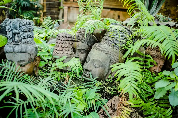 plantes pour une rocaille à l'ombre