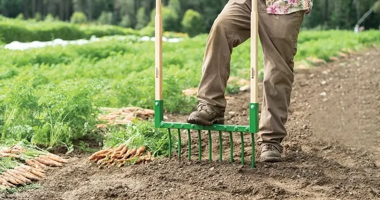 préparer son jardin pour le printemps