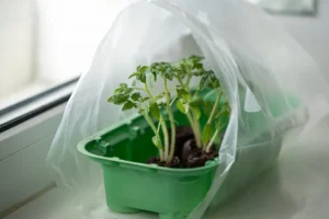 recycler les emballages en plastique