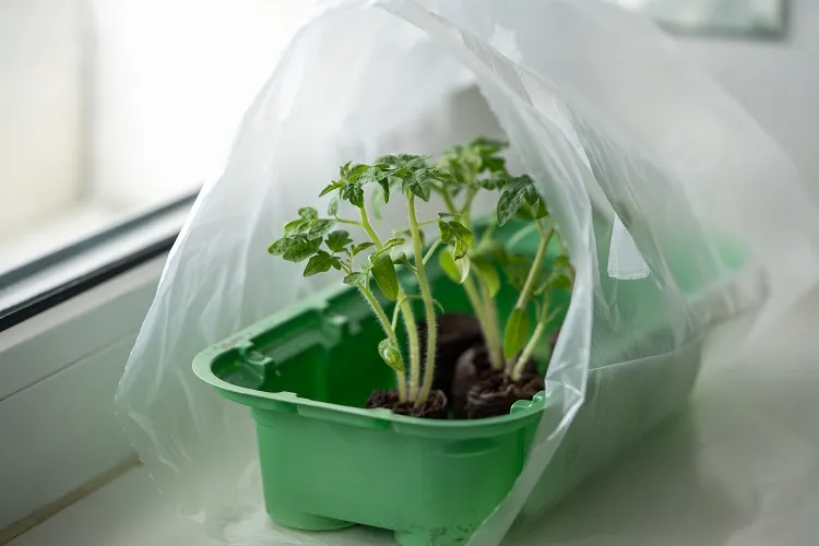 recycler les emballages en plastique