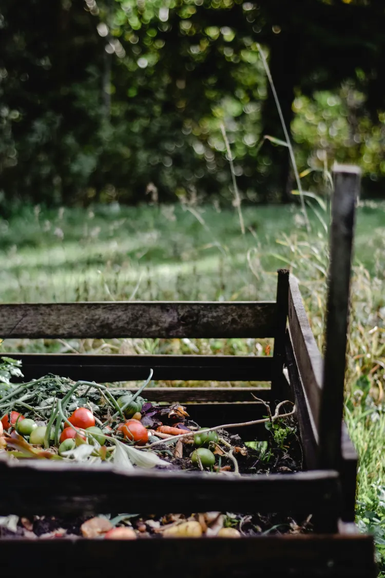 astuces infaillibles pour chauffer le compost rapidement et efficacement