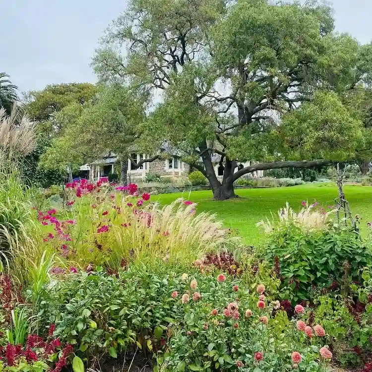 comment avoir le plus beau jardin persistant
