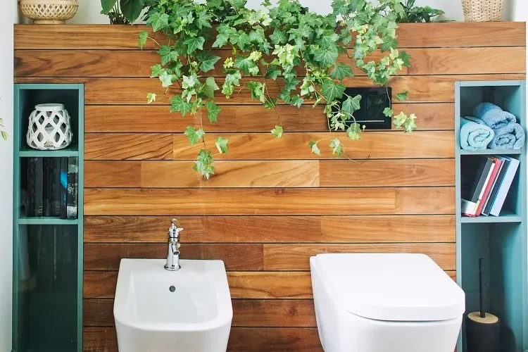 comment décorer une salle wc sans fenêtre avec des plantes vertes
