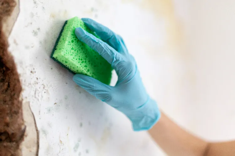 comment se débarrasser de l'humidité sur un mur