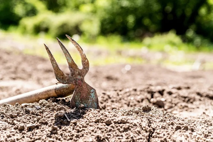 est il bon d'aérer la terre du potager au printemps