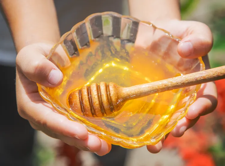 le miel lui aussi est parmi les aliments qui contiennent du plastique