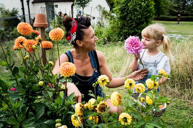 planter bulbes à floraison estivale, faire un jardin d'été