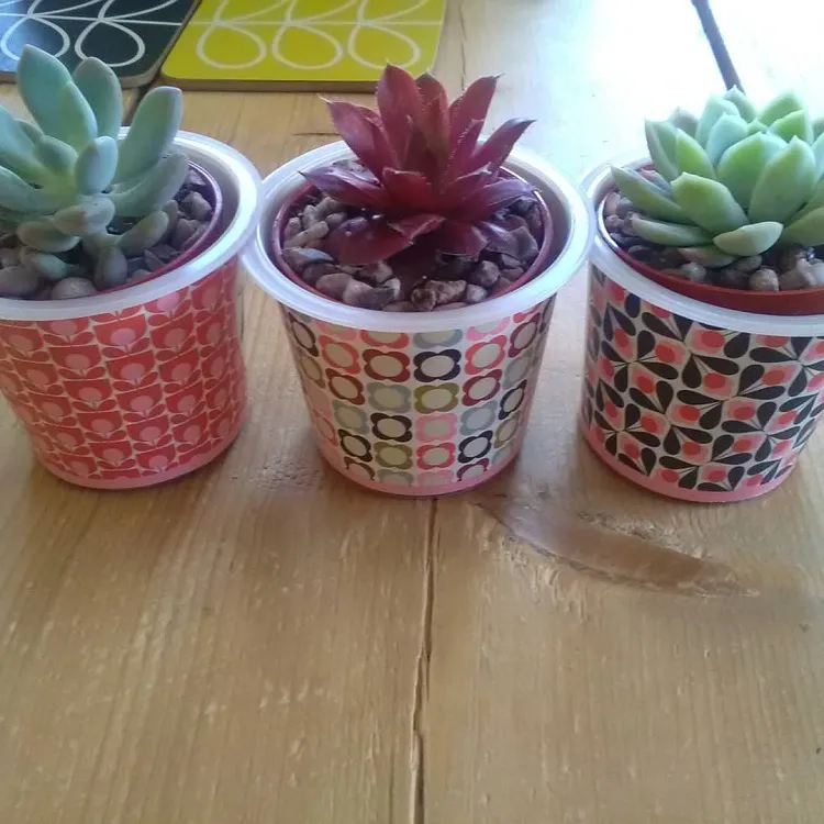 pot de fleurs pour mini succulents fait maison