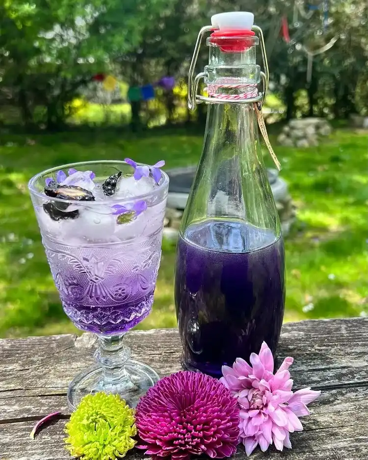 recette simple de sirop de violettes sauvages maison