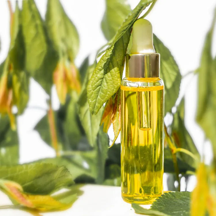 vaporisez de l'huile de neem sur les plantes