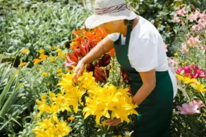 comment conserver un lys après pâques