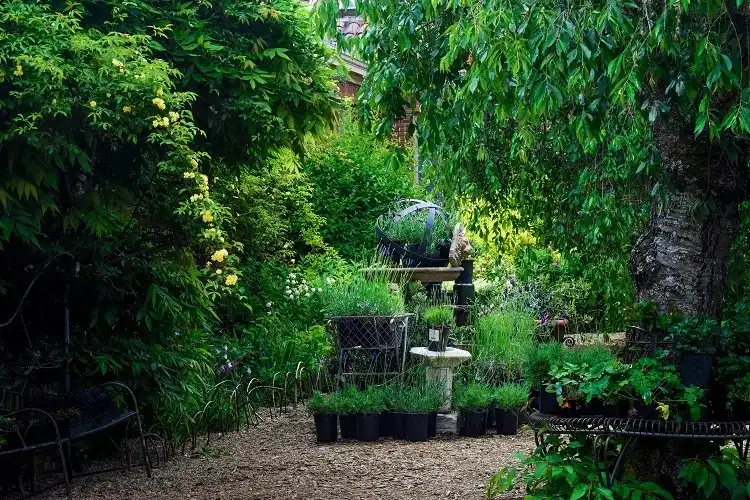 comment réussir la plantation des arbres en mars