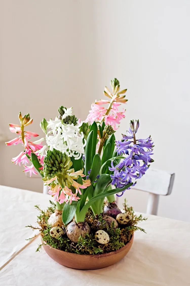 composition de pâques à partir de fleurs de jacinthes et d'œufs de caille sur une nappe en lin