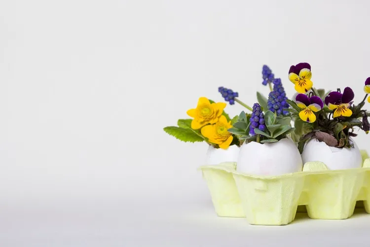 diy déco de pâques avec des fleurs et des coquilles d’oeuf