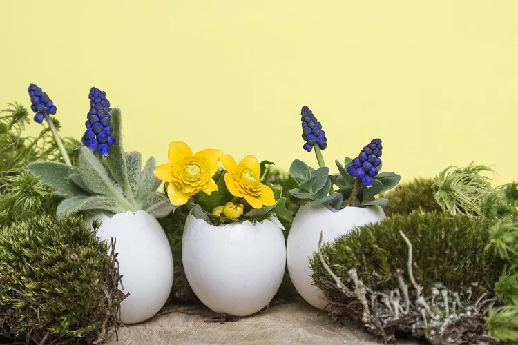 fleurs printanières colorées dans un pot de fleurs en coquille d'œuf pour pâques sur un fond jaune avec de la mousse et du bois.