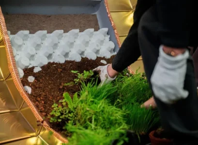 pourquoi mettre du carton au fond du potager