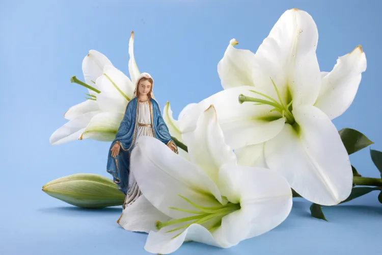 Quelle est la symbolique du lys de Pâques ?