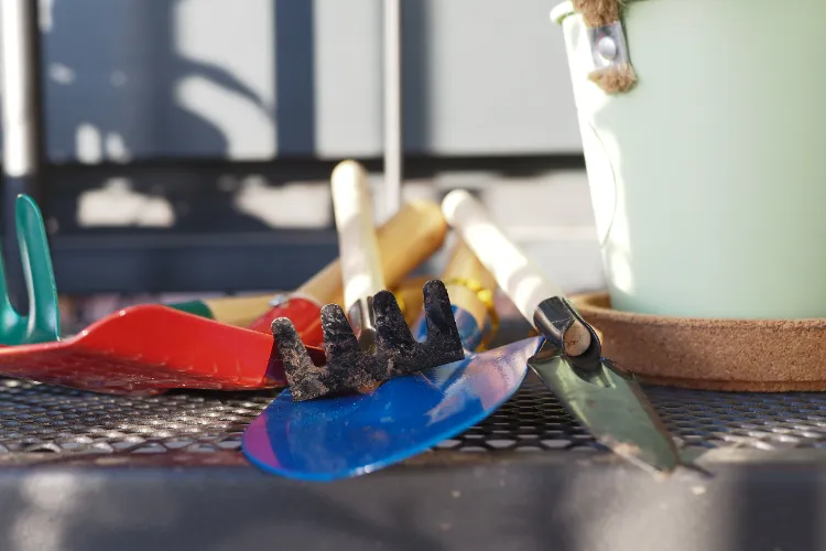 jetez les vieux outils de jardin 2025