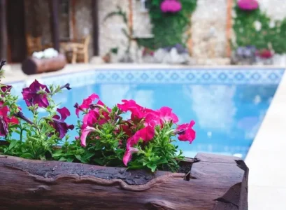 meilleures plantes pour jardin de piscine