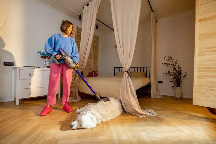 nettoyage hebdomadaire pour les propriétaires d'animaux