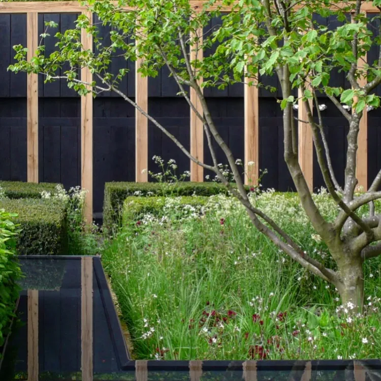 notre liste des meilleurs arbres à planter en mars au jardin corylus avellana