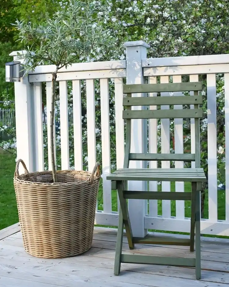 peut on cultiver un salix en pot notre guide et conseils de pro salix helvetica