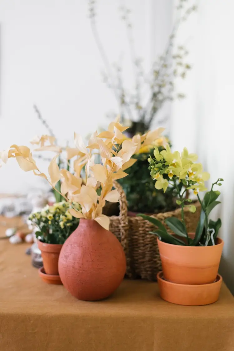 pot en terre cuite pour orchidée