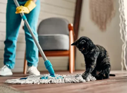produits de nettoyage sans danger pour les animaux domestiques​