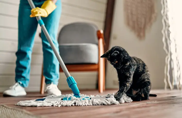 produits de nettoyage sans danger pour les animaux domestiques​