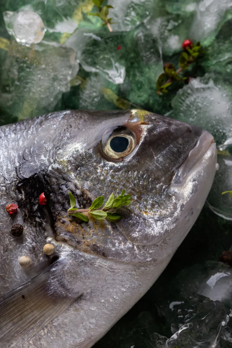 quels sont les aliments contenants du plastique