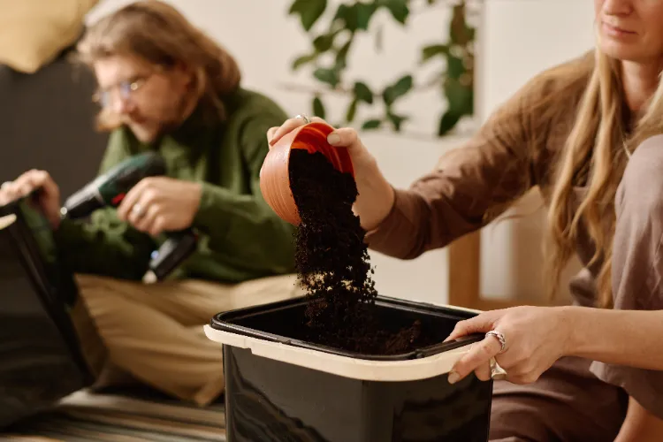 réutiliser le terreau des plantes en pot